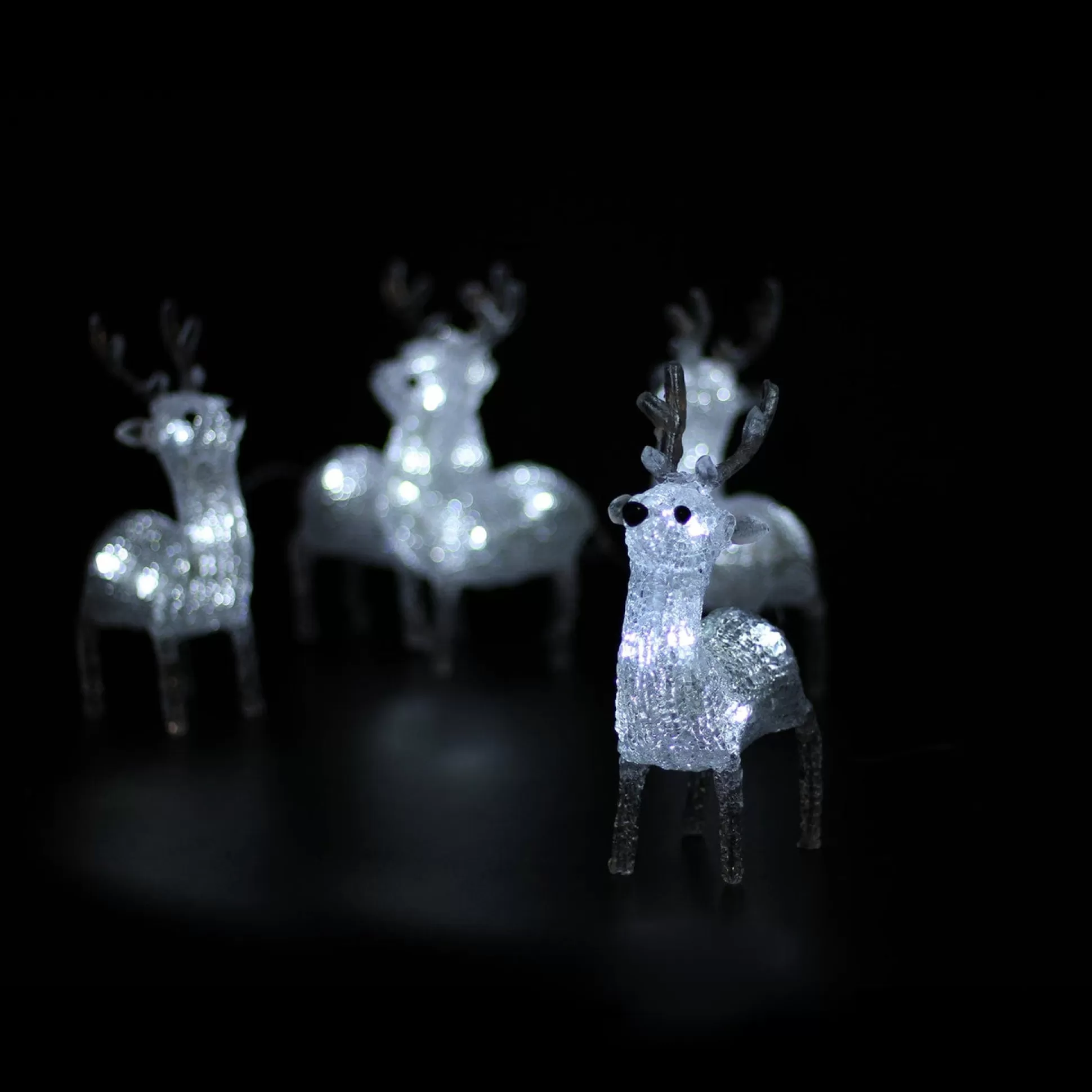 3D & 2D Displays>Christmas World 3D Acrylic Baby Reindeer Set (5Pc)