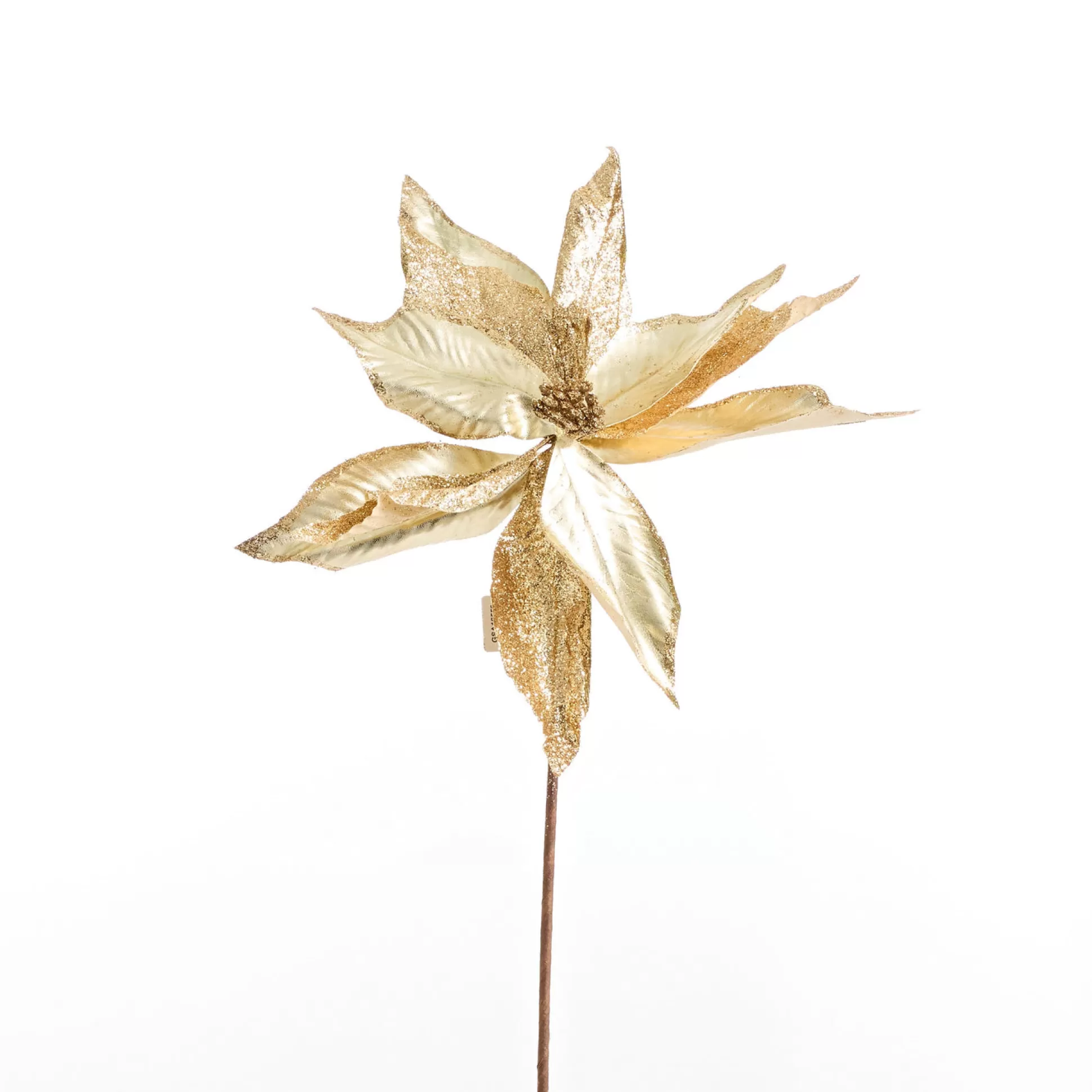 Touch Of Elegance>Christmas World Champagne Poinsettia Stems (45Cm)