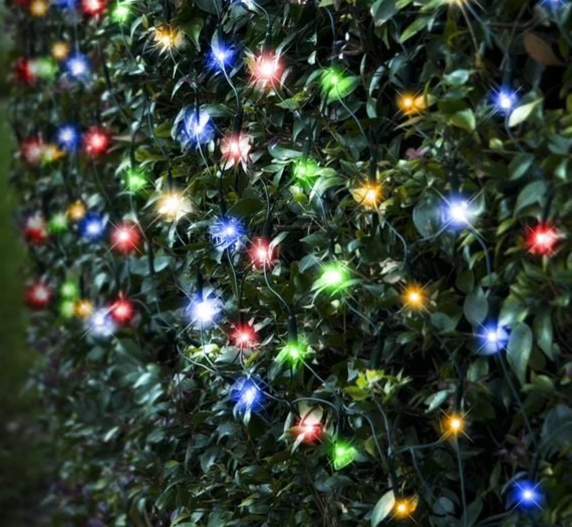 Net Lights>Christmas World Led Multicoloured Net Light (4.8M)