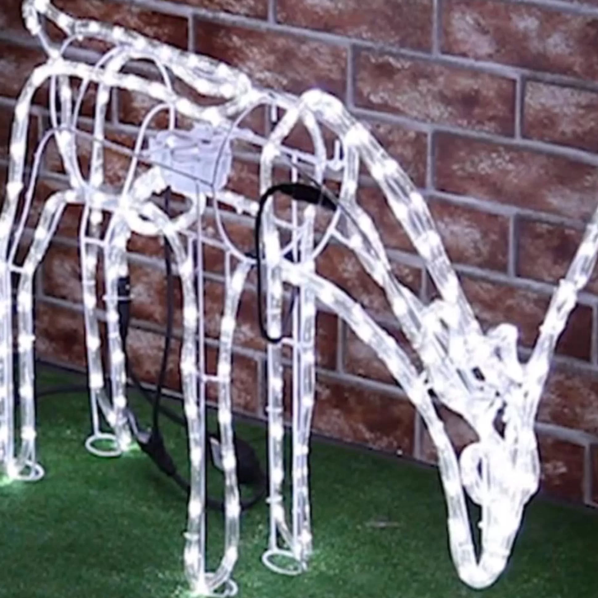 3D & 2D Displays>Christmas World Led Ropelight Feeding Reindeer Moving