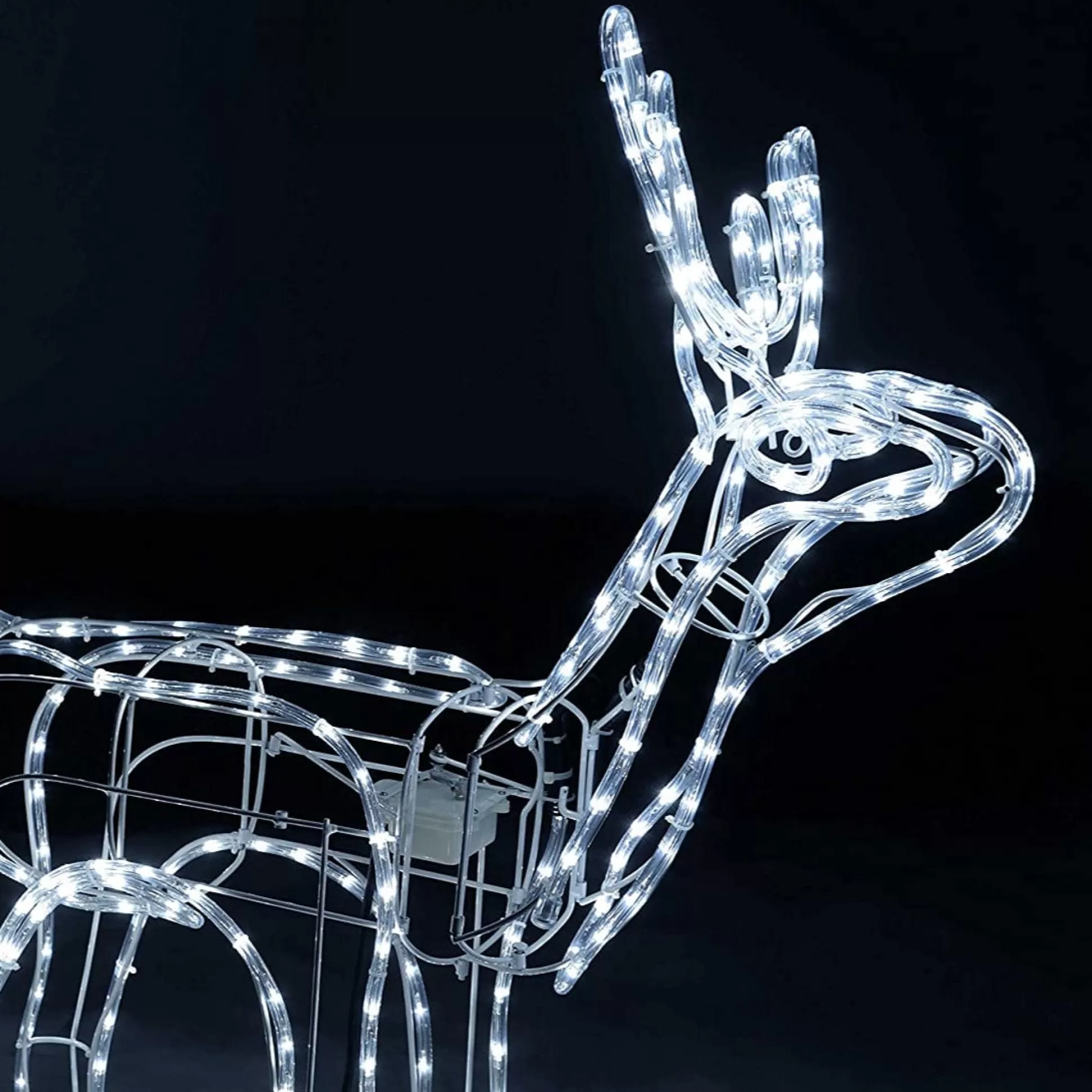 3D & 2D Displays>Christmas World Led Ropelight Standing Reindeer Moving