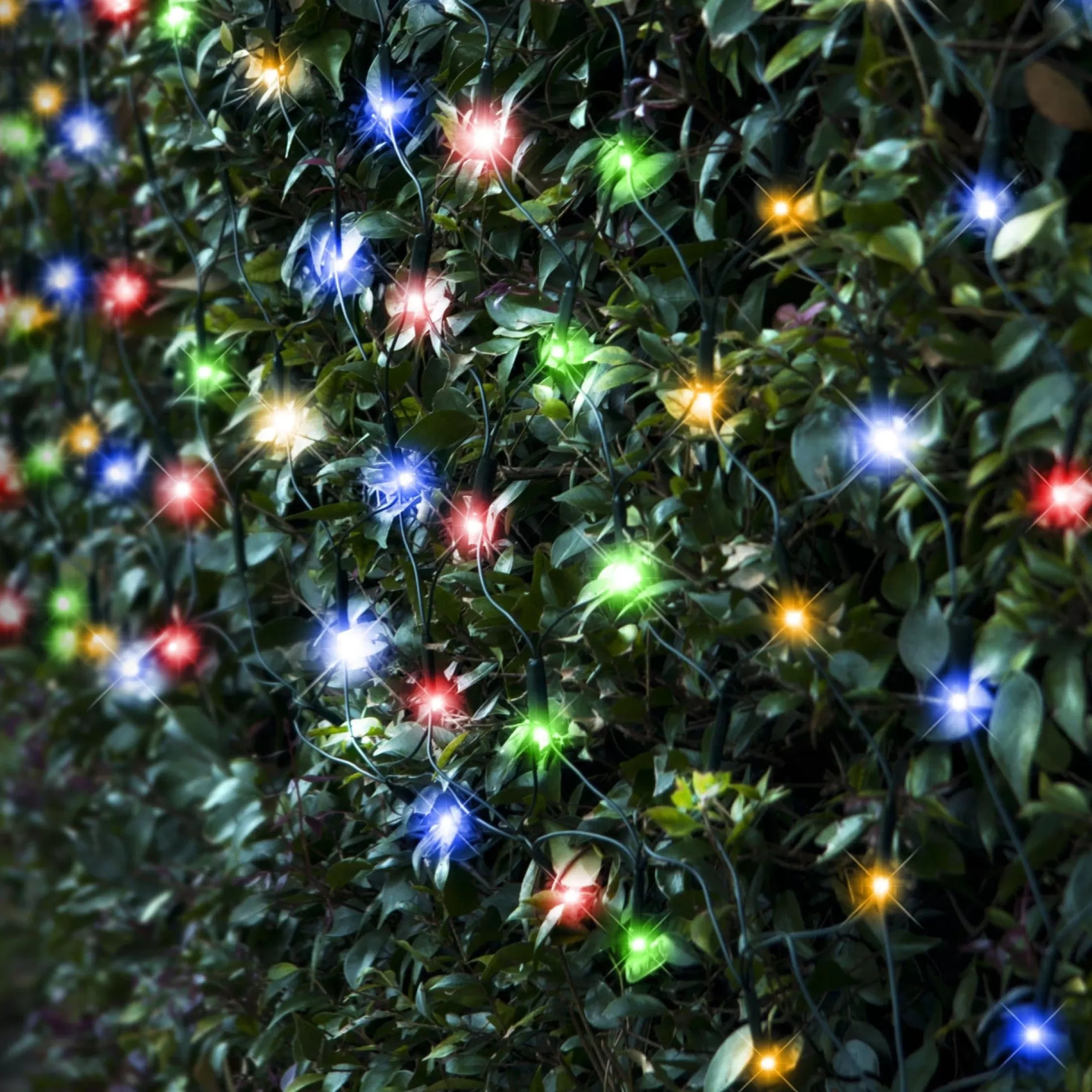 Solar Lights>Christmas World Led Solar Multicoloured Net Light (5X1.3M)