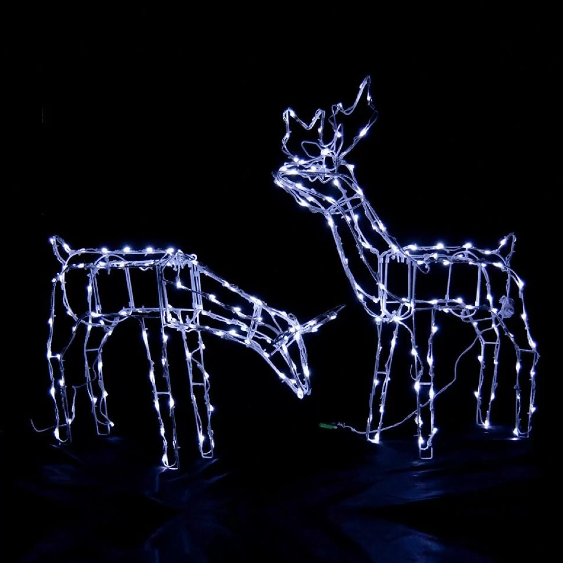 3D & 2D Displays>Christmas World Led Solar Standing Or Feeding Reindeer - Feeding