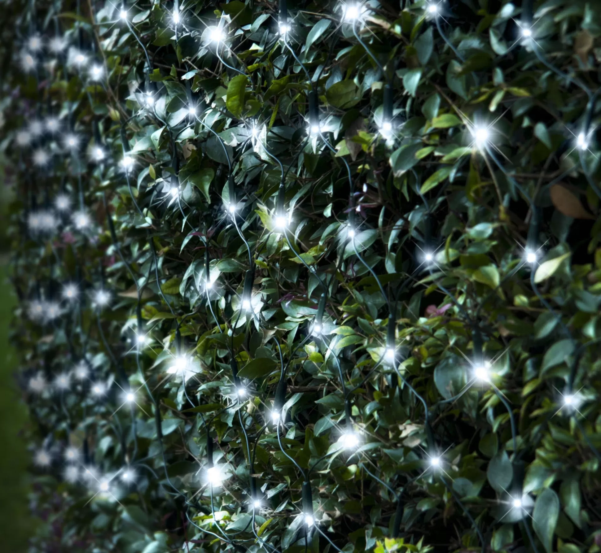 Solar Lights>Christmas World Led Solar White Net Light (2.3X1.3M)