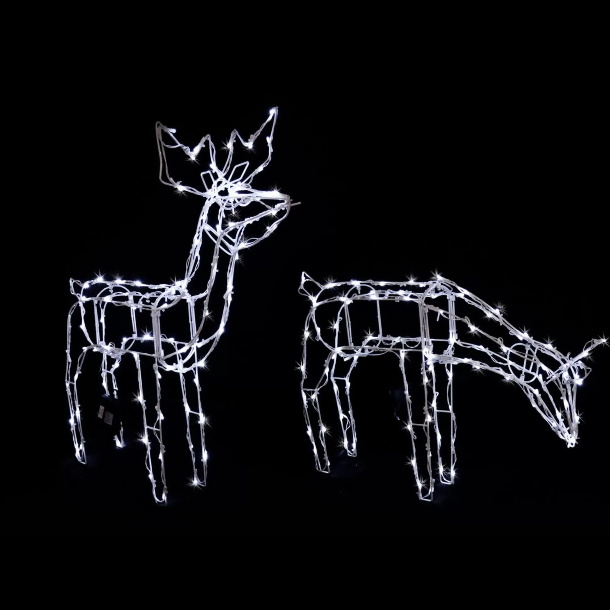 3D & 2D Displays>Christmas World Led Wire Reindeer - Feeding