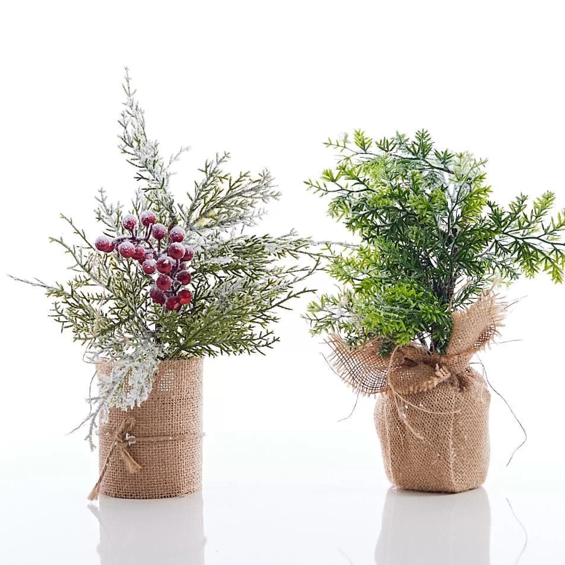 Potted & Table Top Trees>Christmas World Snow Capped Tree With Burlap (31Cm) - Berries