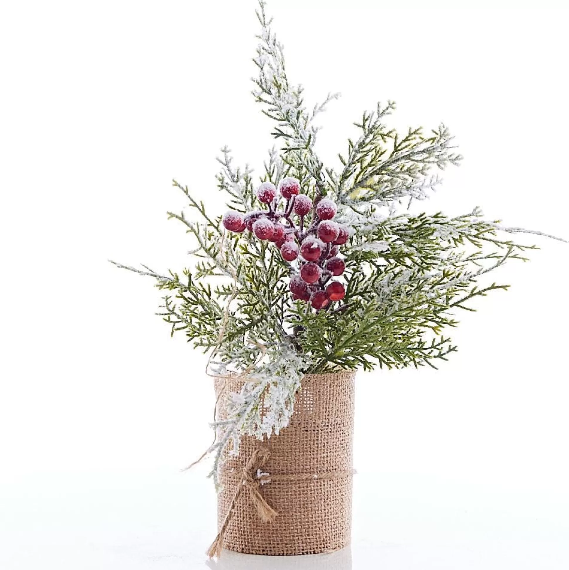 Potted & Table Top Trees>Christmas World Snow Capped Tree With Burlap (31Cm) - Berries